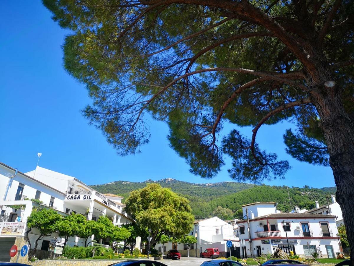 Pension Venta Julian Hca01134 El Bosque Exterior foto